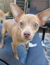Nina - Now, I'm Very Adorable!