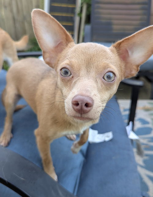 Nina - Now, I'm Very Adorable!