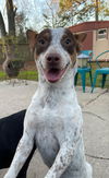 Maybelle - My my I'm Adorable!