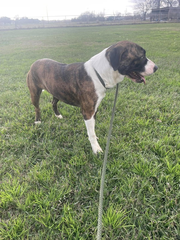 Jaylan - Super sweet and Smushy!