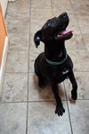 Paula - Precious Baby!