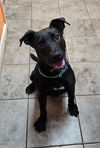 Paula - Precious Baby!