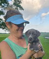 Ginny - Great pup!