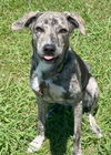 Willow - What a beauty!
