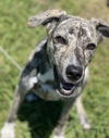 Willow - What a beauty!