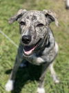 Willow - What a beauty!