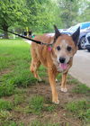 Olive - I'll Love You Furever