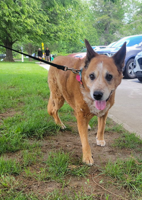 Olive - I'll Love You Furever