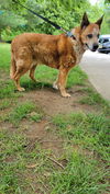 Olive - I'll Love You Furever