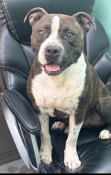 Drogan - The BEST Boy!