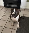 Drogan - The BEST Boy!