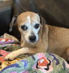 Lucy - Nice Little Lady!