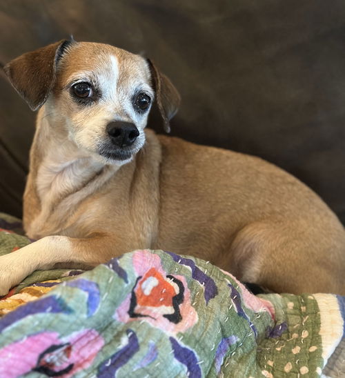 Lucy - Nice Little Lady!