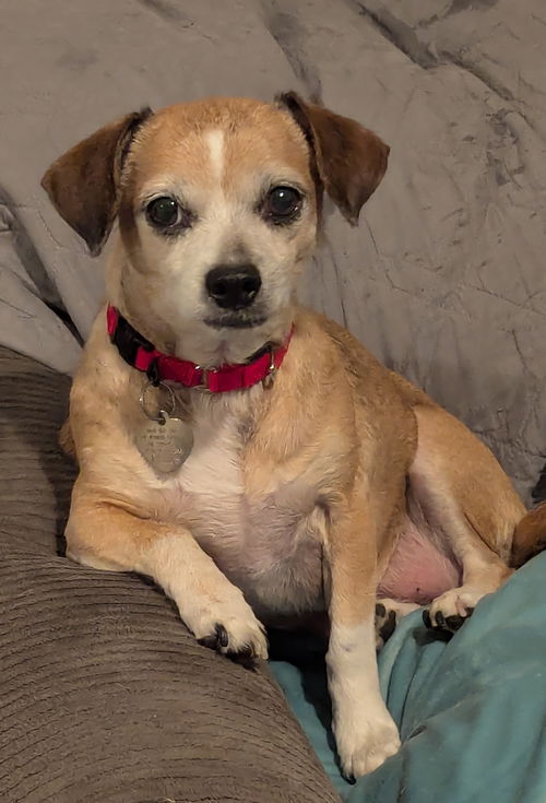 Lucy - Nice Little Lady!