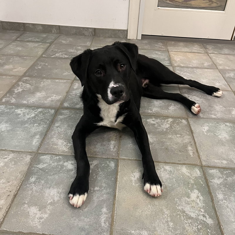 Beau- Best friend potential