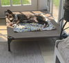 Nix - Nice Pup!