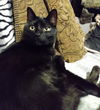 TOM ~ Adorable!