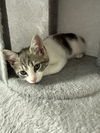 ISABELLA ~ Precious!