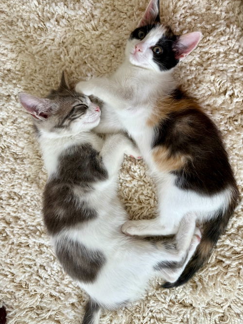 ISABELLA ~ Precious!