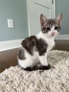 ISABELLA ~ Precious!