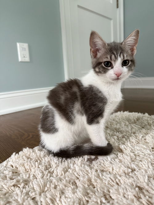 ISABELLA ~ Precious!