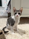 ISABELLA ~ Precious!