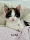 LUISA ~ Adorable!