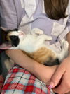LUISA ~ Adorable!