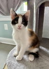 LUISA ~ Adorable!