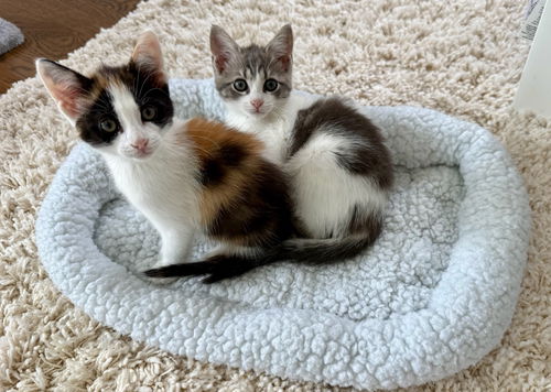 LUISA ~ Adorable!