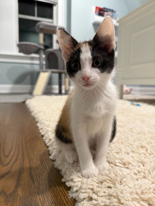 LUISA ~ Adorable!
