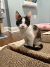 LUISA ~ Adorable!