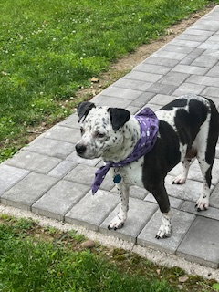 Coco - Speckled Cutie!