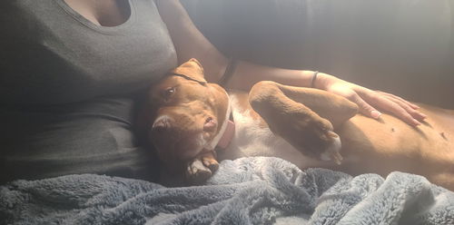 Stormi