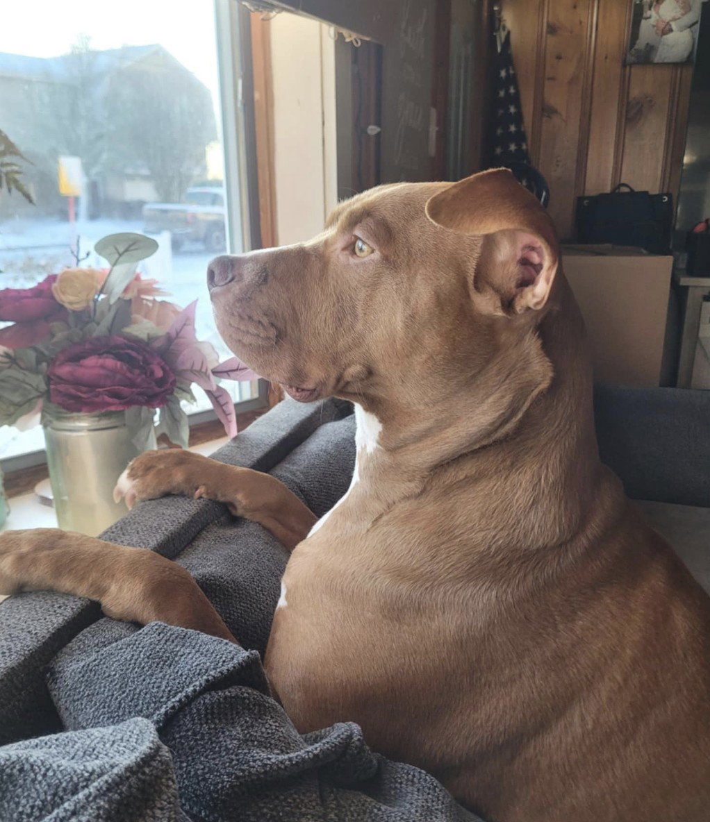 Stormi