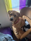 Mason - Most Handsome!