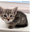 FENNIC ~ Really precious!
