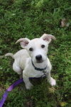 Jambalaya - Just Adorable!
