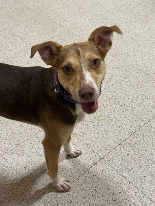 Sally - So Sweet!