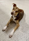 Sally - So Sweet!