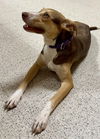 Sally - So Sweet!