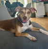 Sally - So Sweet!