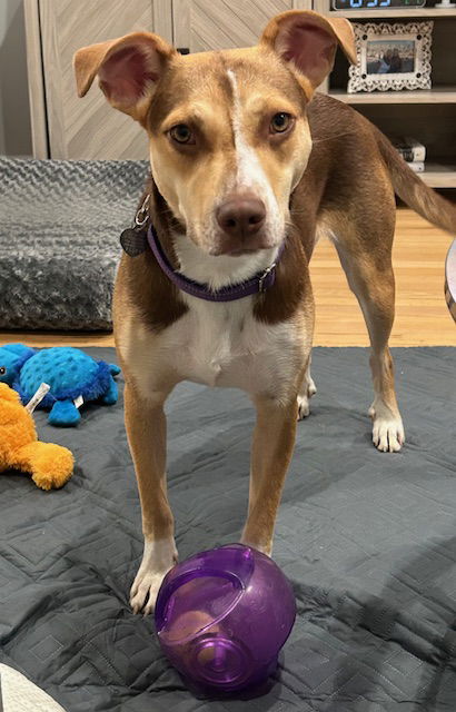 Sally - Super Fun Girl!