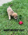 Alli G - Absolutely Adorable!