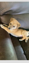 Alli G - Absolutely Adorable!