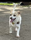 Roxy - Super Senior!