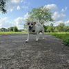 Roxy - Super Senior!