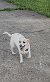 Roxy - Super Senior!