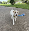 Roxy - Super Senior!