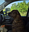 Tobi Brown - Totally Handsome!